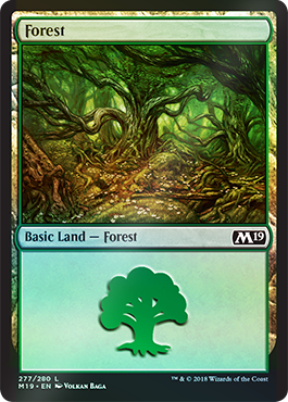 Forest - Gift Pack