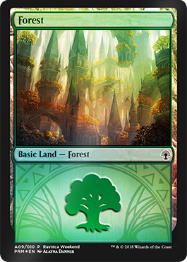 Forest Promo 1