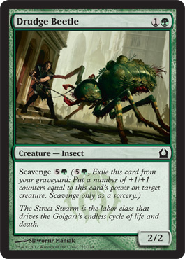 Drudge Beetle - Return to Ravnica Spoiler