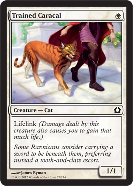 Trained Caracal - Return to Ravnica Spoiler
