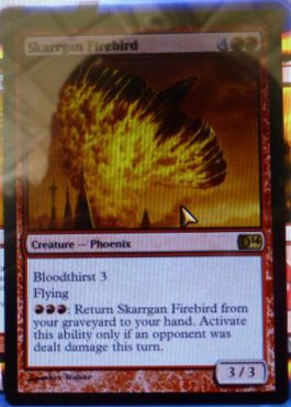 Skarrgan Firebird - M14 Spoiler