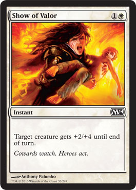 Show of Valor - M14 Visual Spoiler