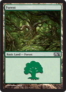 Forest 1 - M14 Spoiler