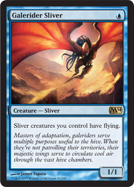 Galerider Sliver - M14 Visual Spoiler