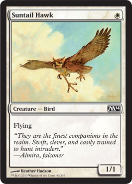 Suntail Hawk - M14 Spoiler