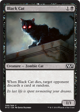 Black Cat - M15 Spoiler