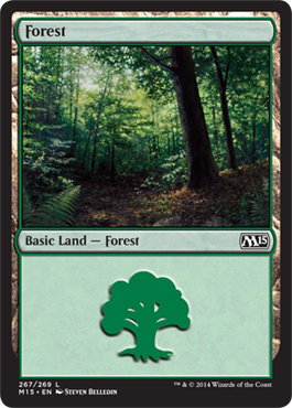 Forest 3 - M15 Spoiler