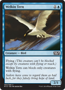 Welkin Tern - M15 Spoiler