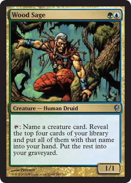 Wood Sage - Conspiracy Spoiler