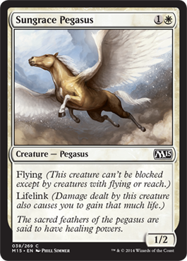 Sungrace Pegasus - M15 Spoiler