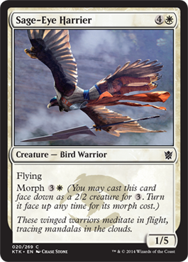 Sage-Eye Harrier - Khans of Tarkir Spoiler