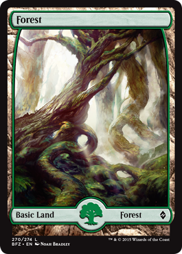 Forest 2 - Full Art Land - Battle for Zendikar Spoilers
