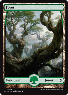 Forest - Full Art Land - Battle for Zendikar Spoiler