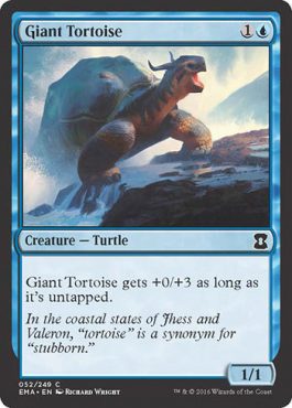 Giant Tortoise