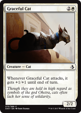 Graceful Cat - Amonkhet Spoiler