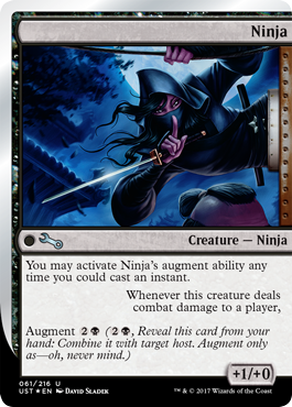 Ninja - Unstable Spoiler