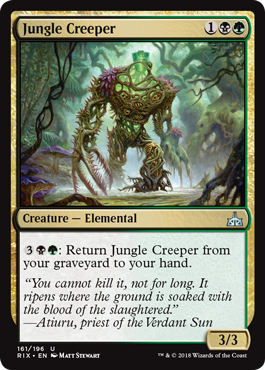 Jungle Creeper