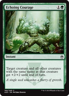 Echoing Courage - Masters 25 Spoiler