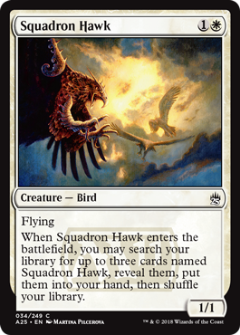 Squadron Hawk - Masters 25 Spoiler