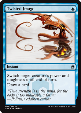Twisted Image - Masters 25 Spoiler