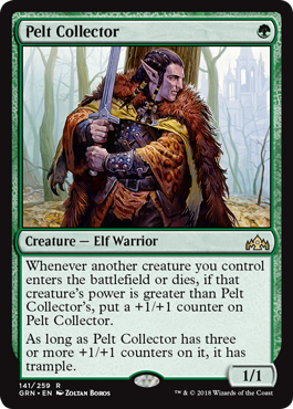 Pelt Collector - Guilds of Ravnica Spoiler