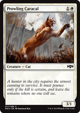 Prowling Caracal - Ravnica Allegiance Spoiler