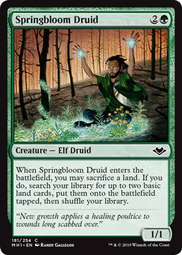 Springbloom Druid - Modern Horizons Spoiler