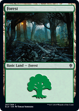 Forest 1 - Throne of Eldraine Spoiler