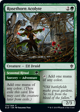 Rosethorn Acolyte - Throne of Eldraine Spoiler