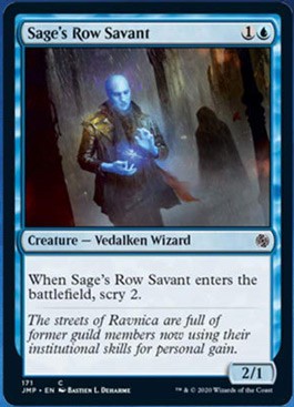 Sage's Row Savant