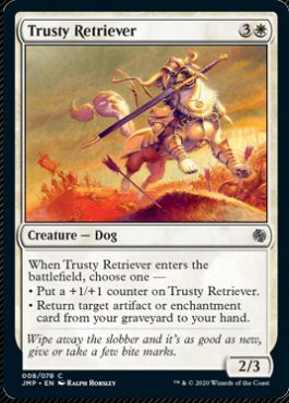 Trusty Retriever