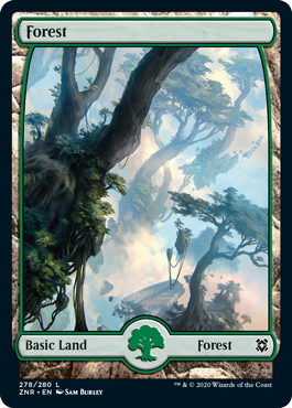 Forest 01 - Zendikar Rising Spoiler