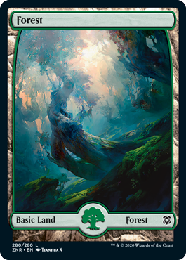 Forest 02 - Zendikar Rising Spoiler