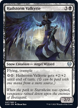 Hailstorm Valkyrie