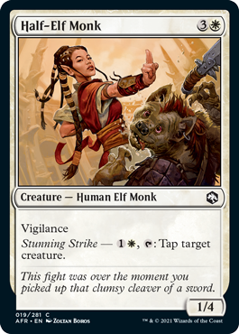 Half-Elf Monk - Adventures in the Forgotten Realms Spoiler