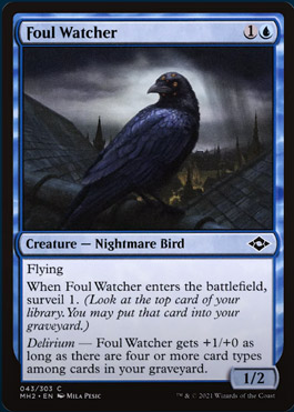 Foul Watcher