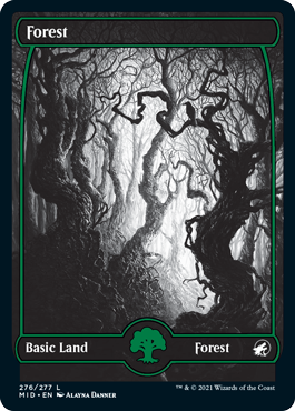 Forest 01 - Innistrad Midnight Hunt Spoiler