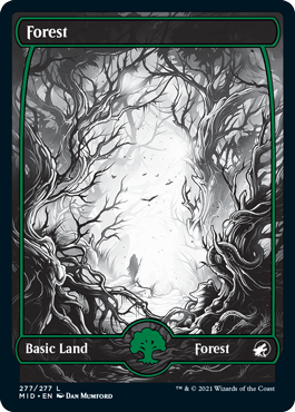 Forest 02 - Innistrad Midnight Hunt Spoiler