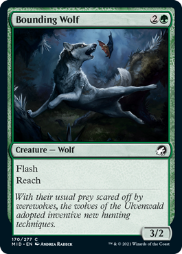 Bounding Wolf - Innistrad Midnight Hunt Spoiler