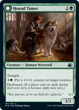 Hound Tamer