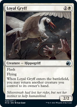 Loyal Gryff - Innistrad Midnight Hunt Spoiler