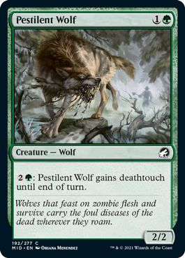 Pestilent Wolf - Innistrad Midnight Hunt Commander Spoiler
