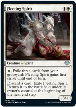 Fleeting Spirit