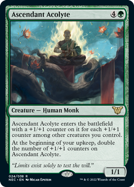 Ascendant Acolyte - Kamigawa Neon Dynasty Commander Spoiler