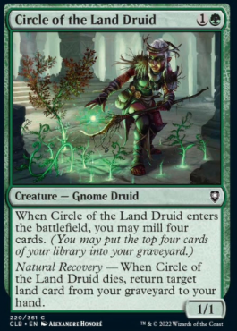 Circle of the Land Druid