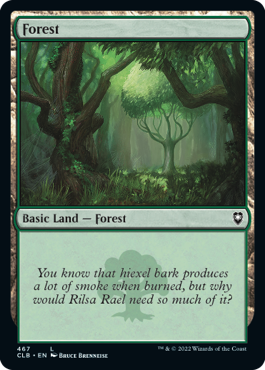 Forest - Battle for Baldur's Gate Spoiler