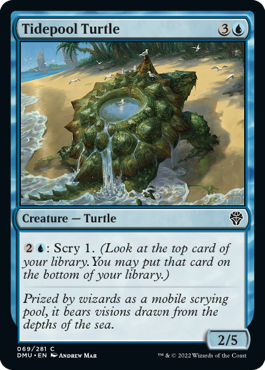 Tidepool Turtle - Dominaria United Spoiler