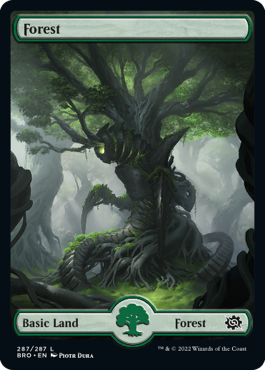 Forest 1 - The Brothers' War Spoiler