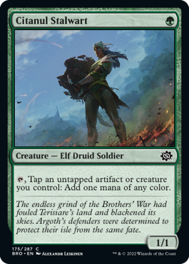 Citanul Stalwart - The Brothers' War Spoiler