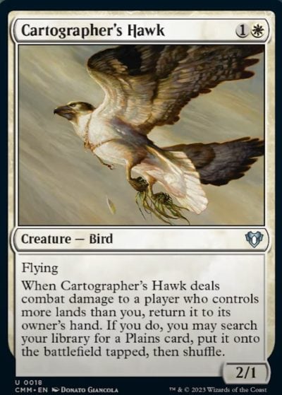 Cartographer's Hawk